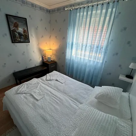 Flamingo * Кишкунмайша