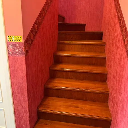 Flamingo * Кишкунмайша