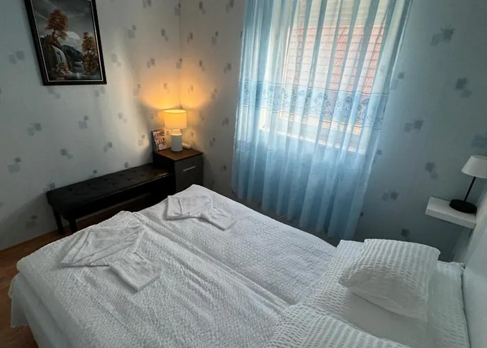 Flamingo * Kiskunmajsa