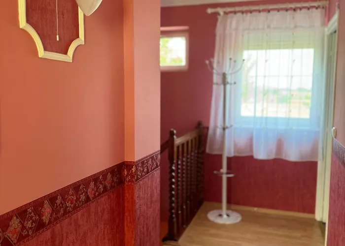 Flamingo Kiskunmajsa