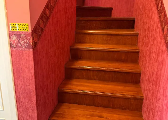Flamingó * Kiskunmajsa